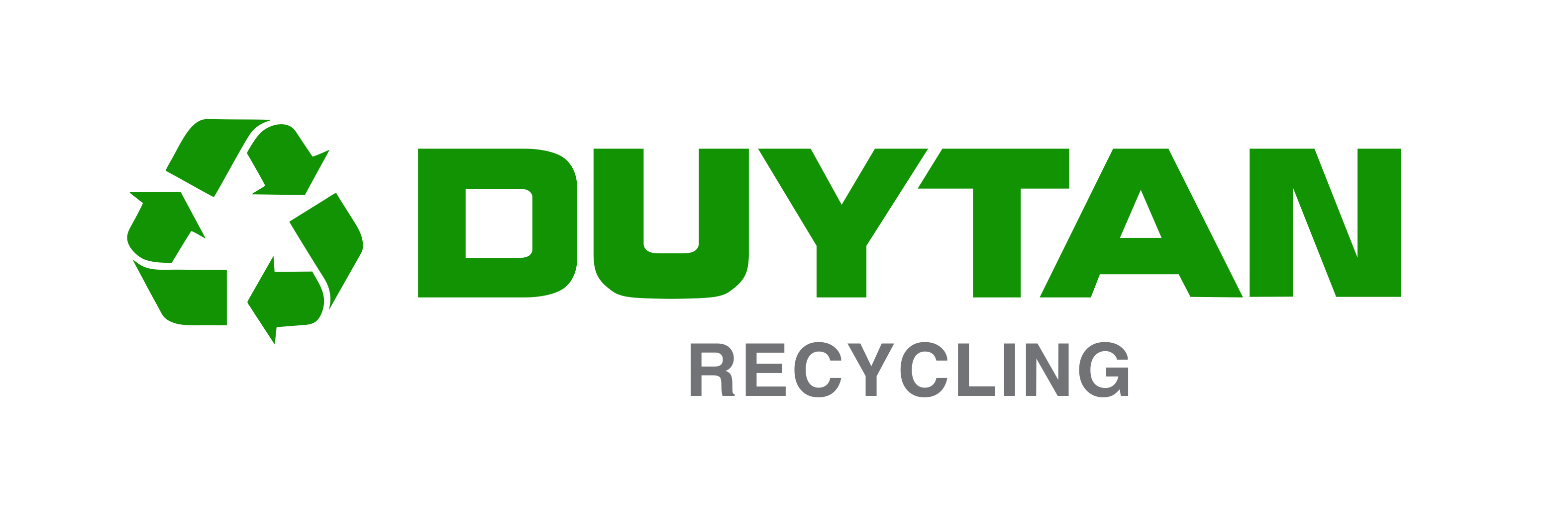 Logo DTR 2025